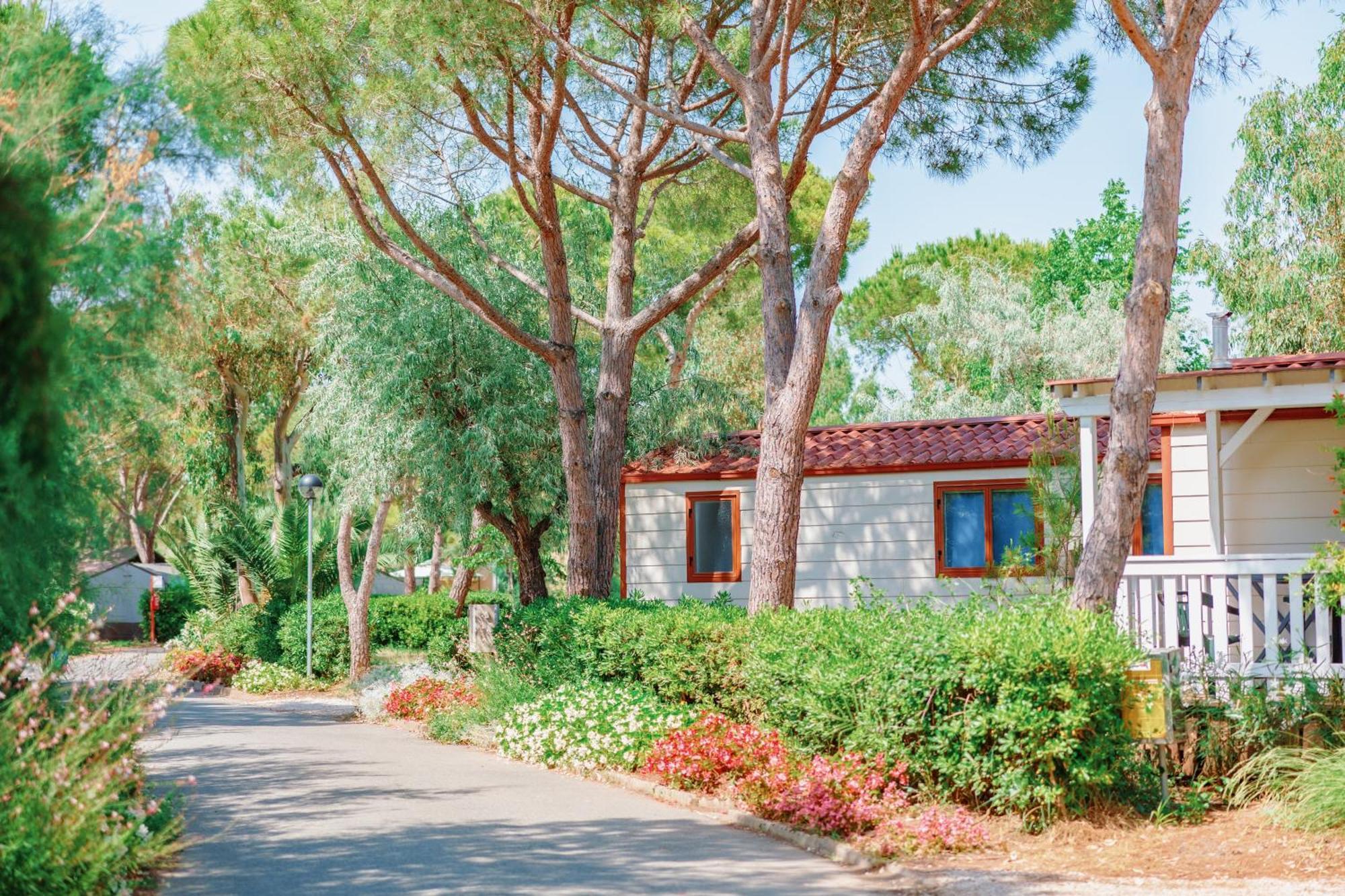 Toscana Bella Camping Village Vada Exterior photo